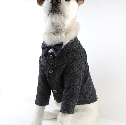KFX-3563581 Elegant Wedding Dress Pet Suit for Gentlemen - Cotton Fabric, Multiple Sizes Available