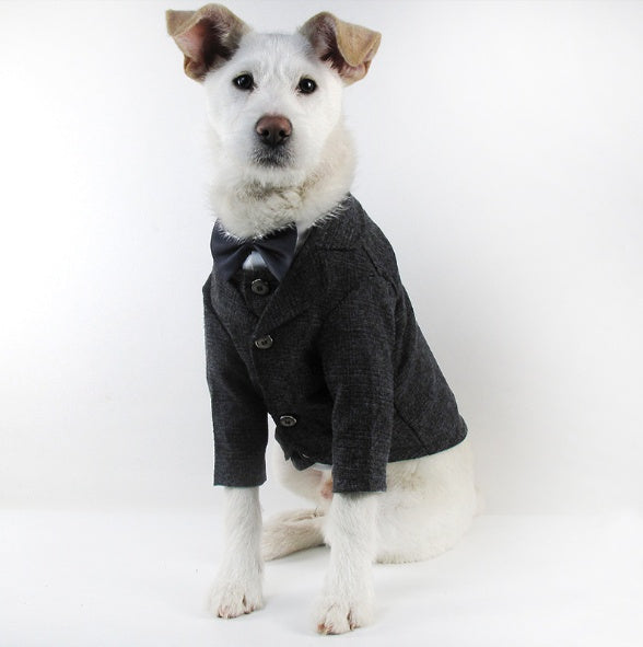 KFX-3563581 Elegant Wedding Dress Pet Suit for Gentlemen - Cotton Fabric, Multiple Sizes Available