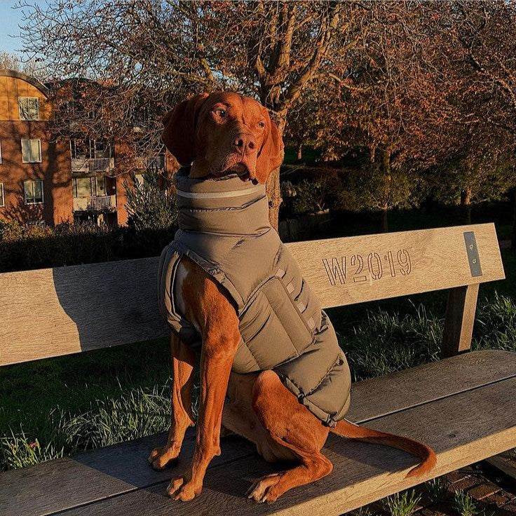 KFX-3571389 Thickened Thermal Vest for Dogs - 100% Recycled Polyester, Available in Dark Gray and Pink