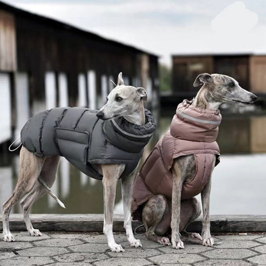 KFX-3571389 Thickened Thermal Vest for Dogs - 100% Recycled Polyester, Available in Dark Gray and Pink