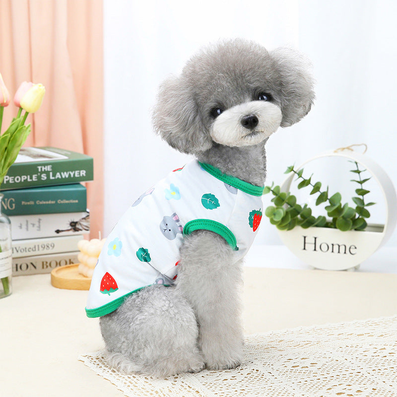 KFX-3572541 Spring and Summer Pet Costumes - Red and Green Apple Patterns, Dinosaur, and Rabbit Styles in Sizes S-XXL