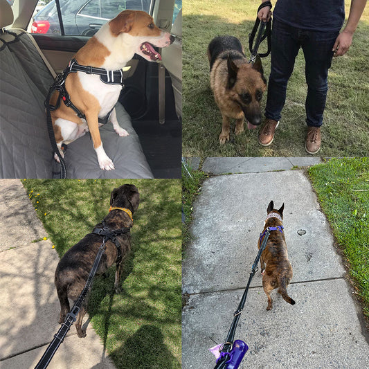 KFX-3576509 Explosion-proof Elastic Dog Leash with Reflective Design - Scalable Nylon Construction, Multiple Color Options