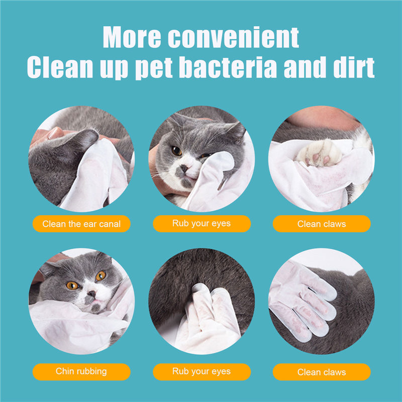 KFX-3578301 Pet Disposable Gloves - 6 Pack Non-woven Aluminum Foil Design, Ideal for Cat Care