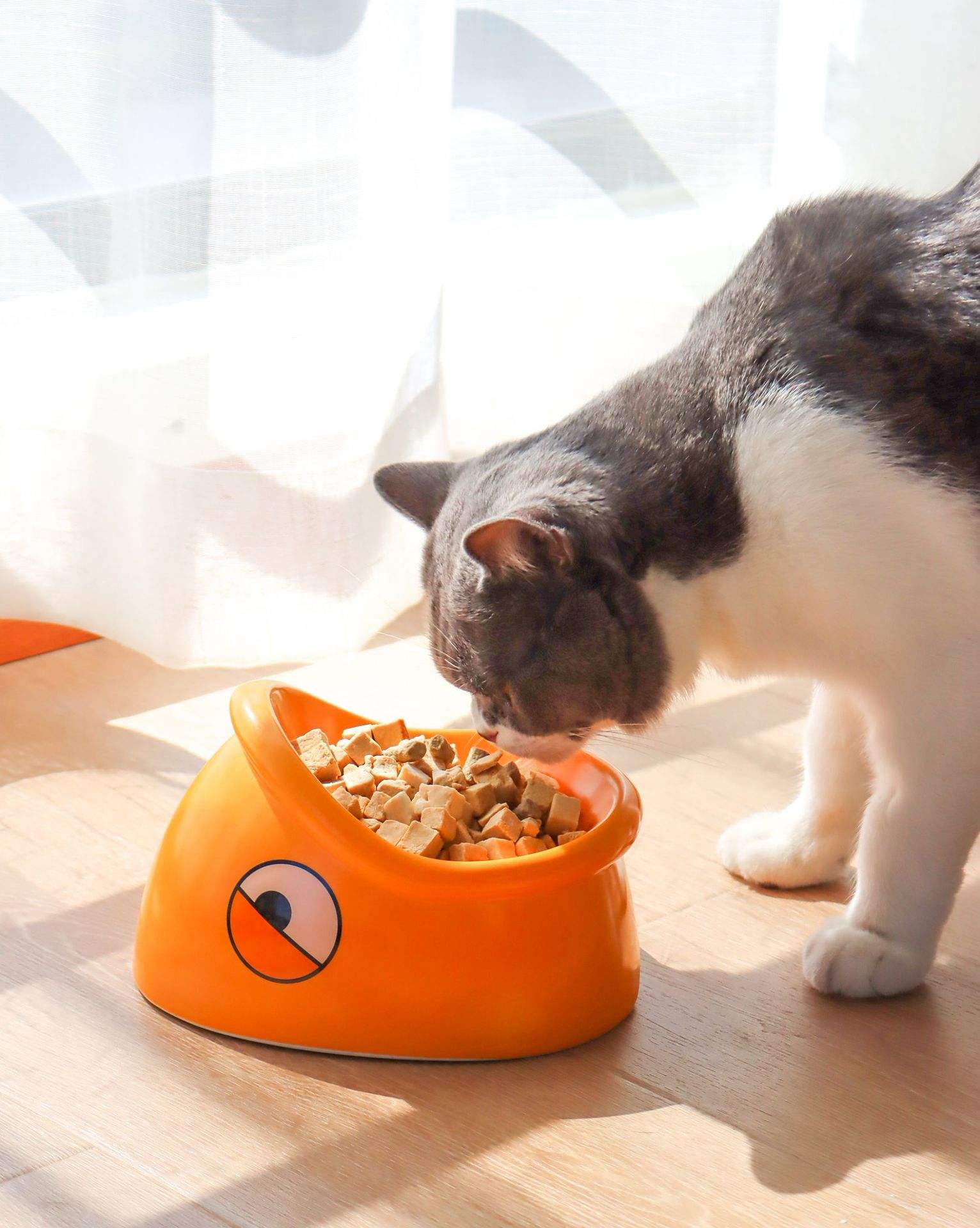 KFX-3582653 Ceramic Pet Food Bowl with Heightened Design for Cats and Small Animals