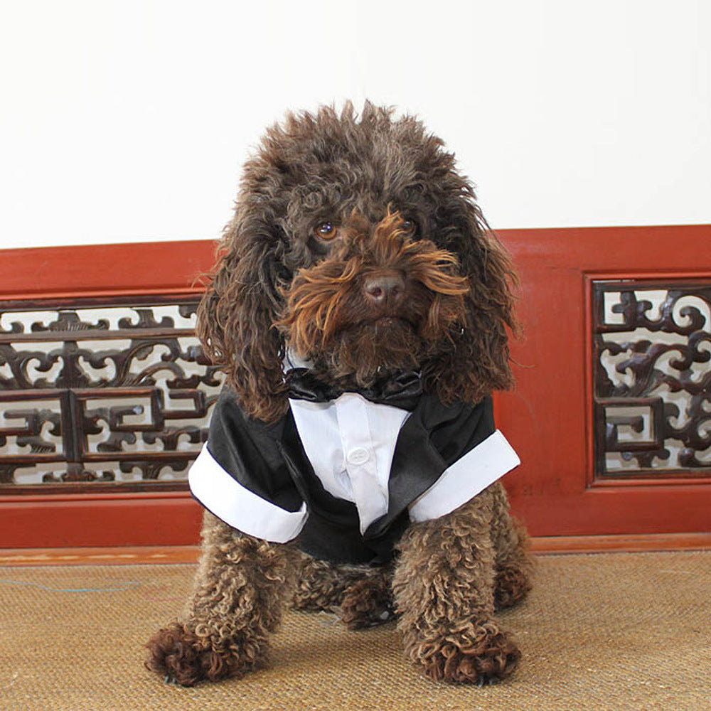 KFX-3583037 Elegant Cotton Bow Tie Evening Dress for Puppies in Black and Gray