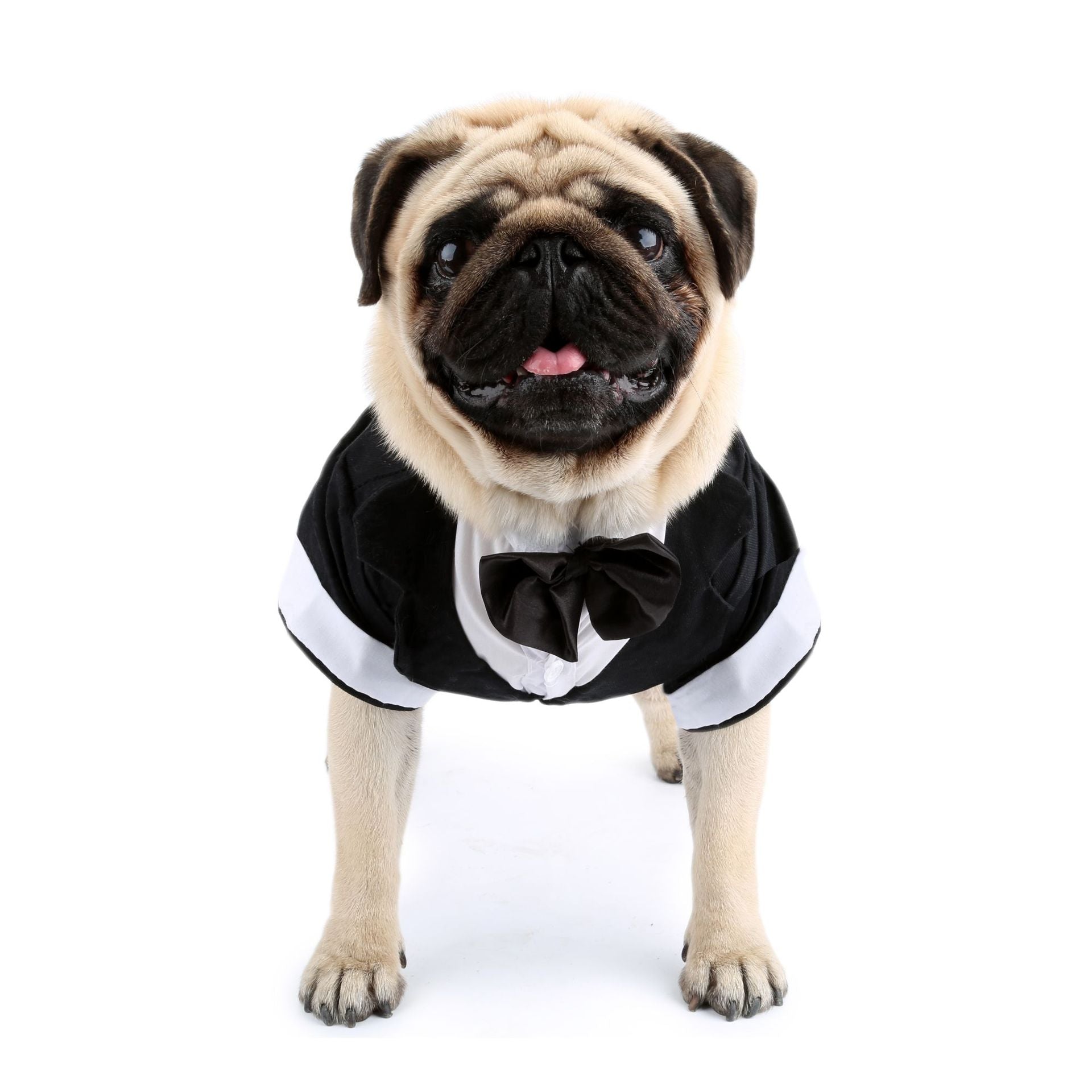 KFX-3583037 Elegant Cotton Bow Tie Evening Dress for Puppies in Black and Gray