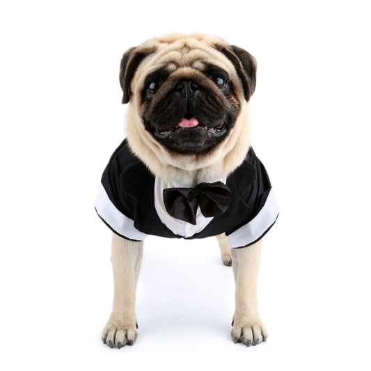 KFX-3583037 Elegant Cotton Bow Tie Evening Dress for Puppies in Black and Gray