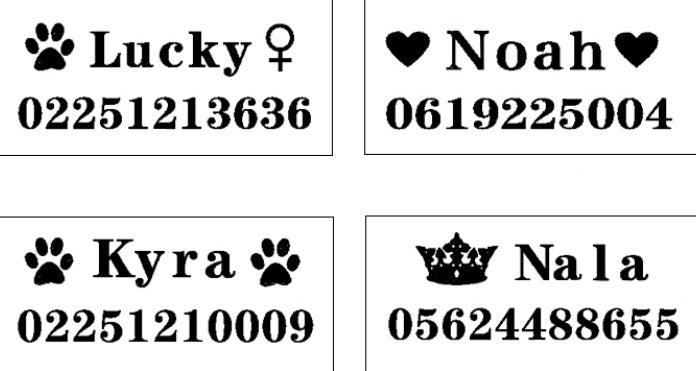 KFX-3584317 Customizable Dog Collar with Adjustable Sizing for Small to Large Dogs