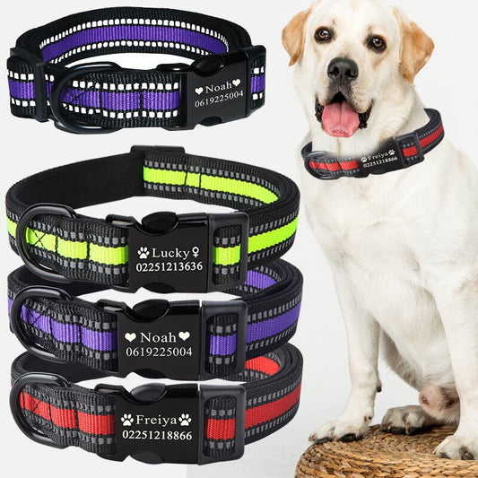 KFX-3584317 Customizable Dog Collar with Adjustable Sizing for Small to Large Dogs