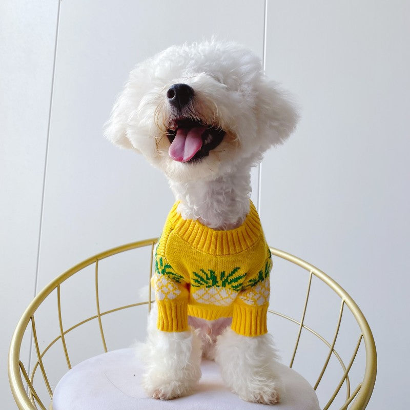 KFX-3586237 Adorable Yellow Pineapple Print Wool Pet Sweater for Autumn and Winter, Sizes S-XXL