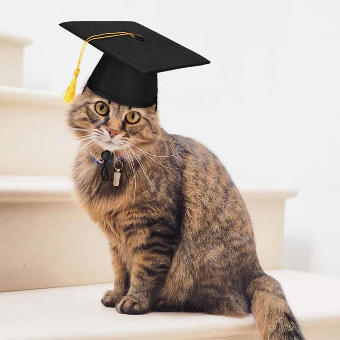 KFX-3586621 Black Doctoral Hat and Bow Tie Set for Pets, Size S, Polyester Material