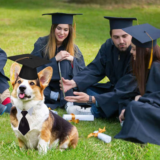 KFX-3586621 Black Doctoral Hat and Bow Tie Set for Pets, Size S, Polyester Material