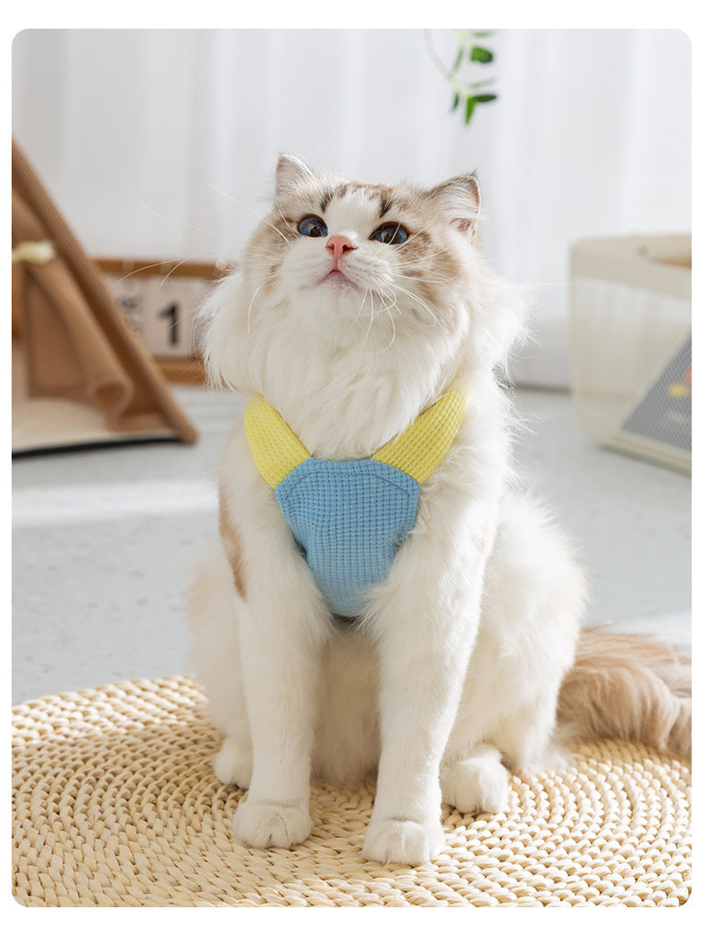 KFX-3588797 Spring and Summer Cat Macaron Pocket Traction Sling Clothes in Ollie Pink and Bondi Blue