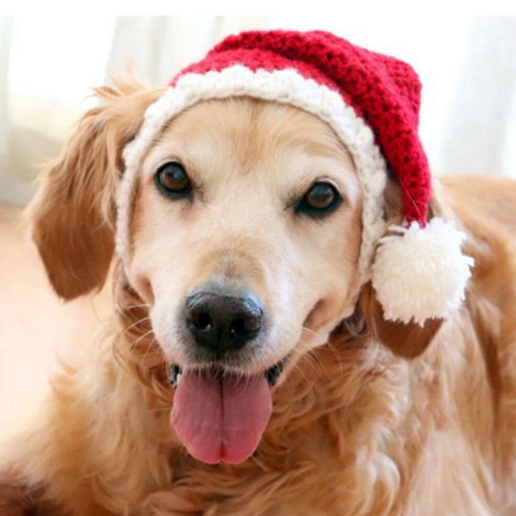 KFX-3598781 Hand-Knitted Wool Hat and Scarf Set for Pets - Solid Color Red, Stylish Design