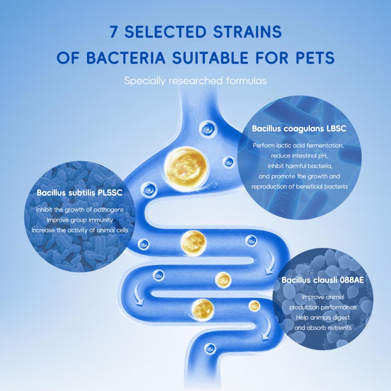 KFX-3599805 Premium Probiotics for Dogs & Cats with 7 Tailored Strains, 5 Billion CFU, Prebiotics, Pumpkin & Carrot – Gut & Immune Support