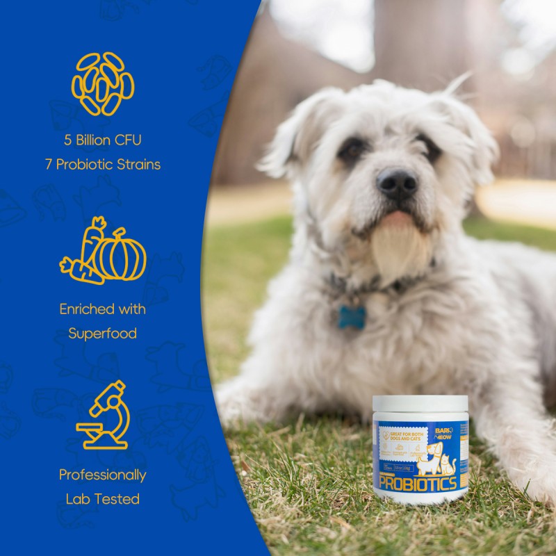 KFX-3599805 Premium Probiotics for Dogs & Cats with 7 Tailored Strains, 5 Billion CFU, Prebiotics, Pumpkin & Carrot – Gut & Immune Support