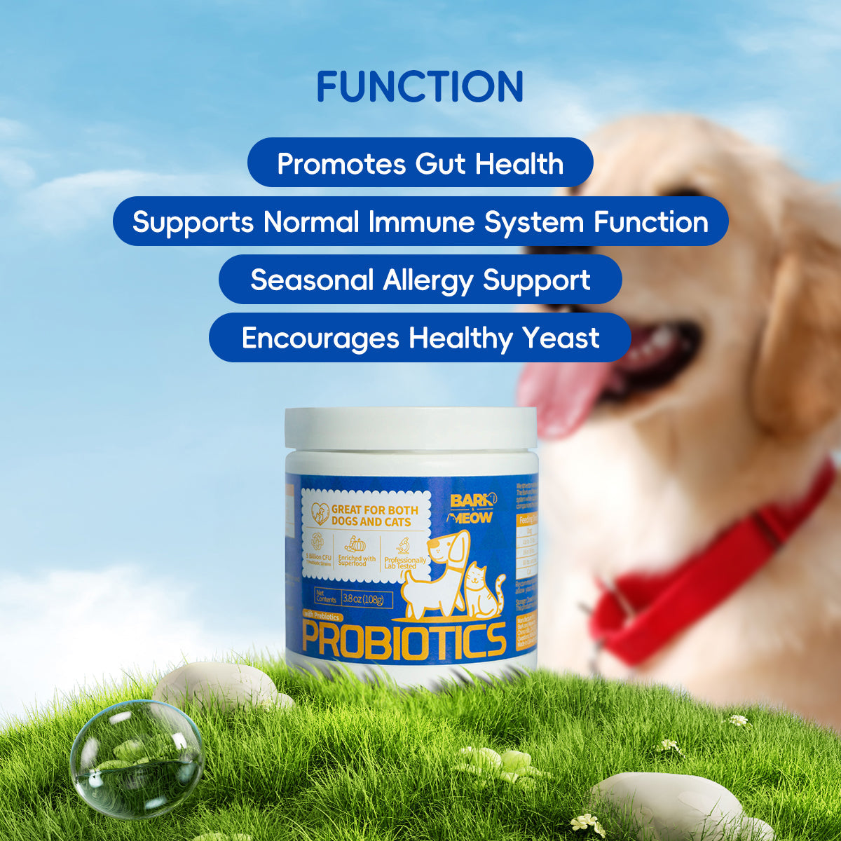 KFX-3599805 Premium Probiotics for Dogs & Cats with 7 Tailored Strains, 5 Billion CFU, Prebiotics, Pumpkin & Carrot – Gut & Immune Support
