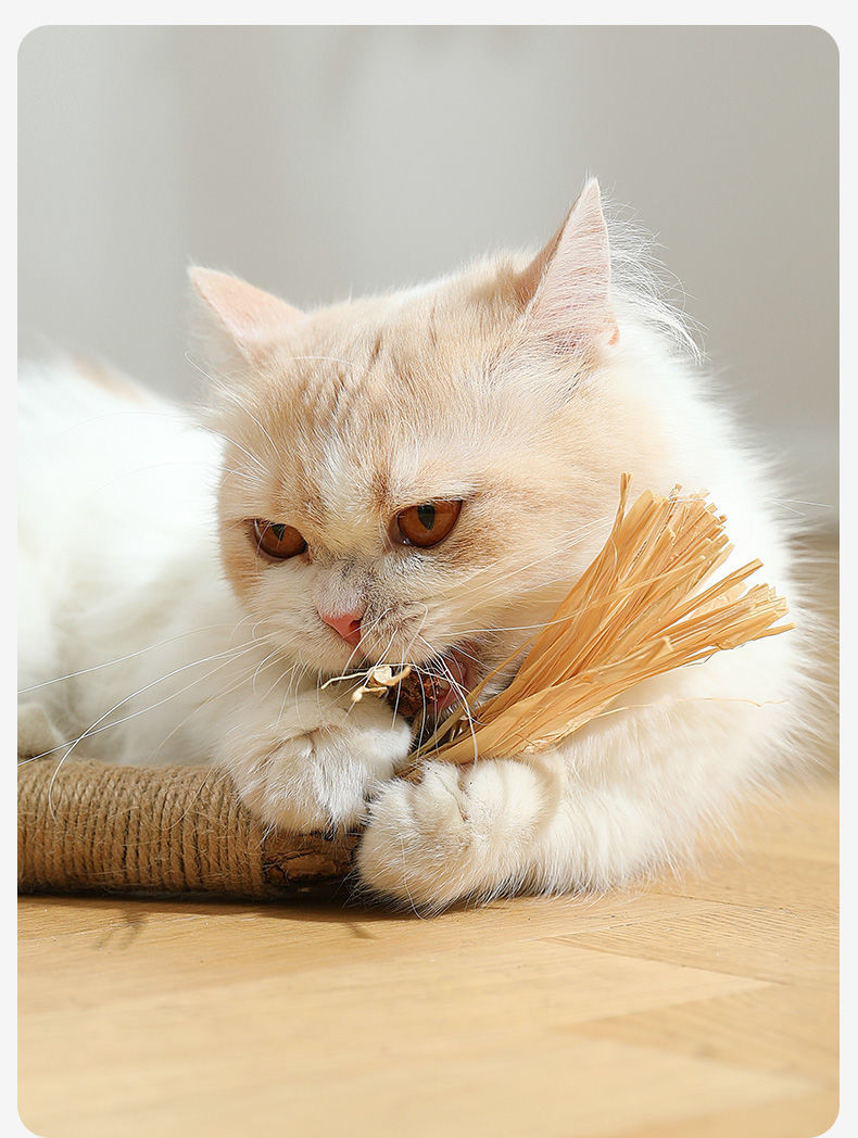 KFX-3602365 Oversized Raffia Molar Rod for Cats - Durable Catnip Toy for Teeth and Play