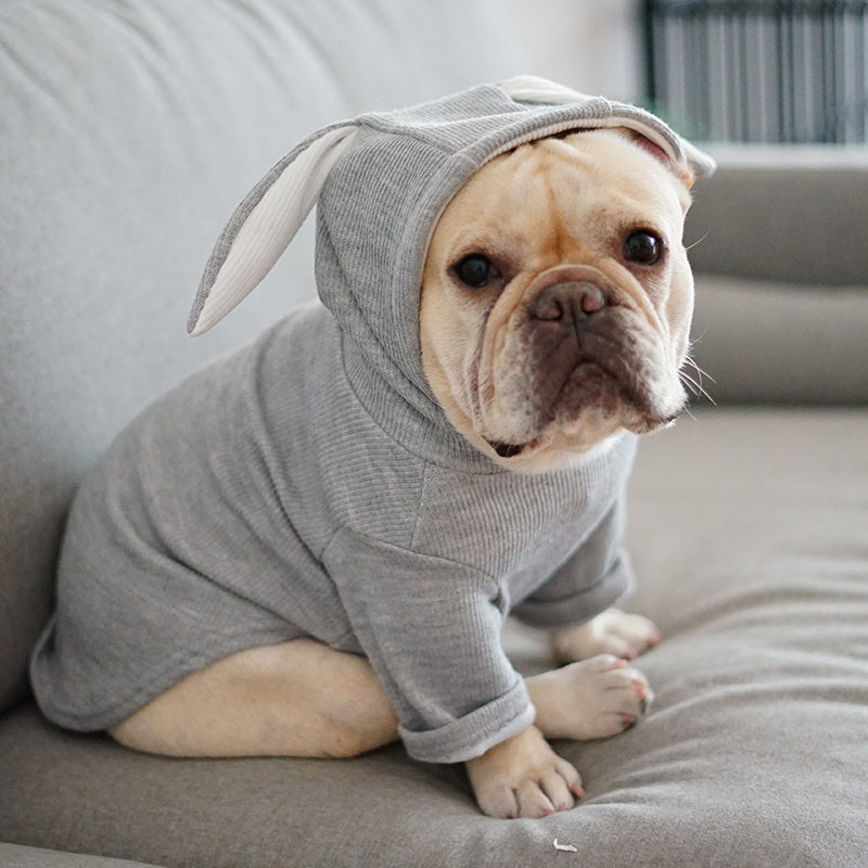KFX-3603901 Comfortable Spring and Autumn Dog Sweater in Light Gray and Pink
