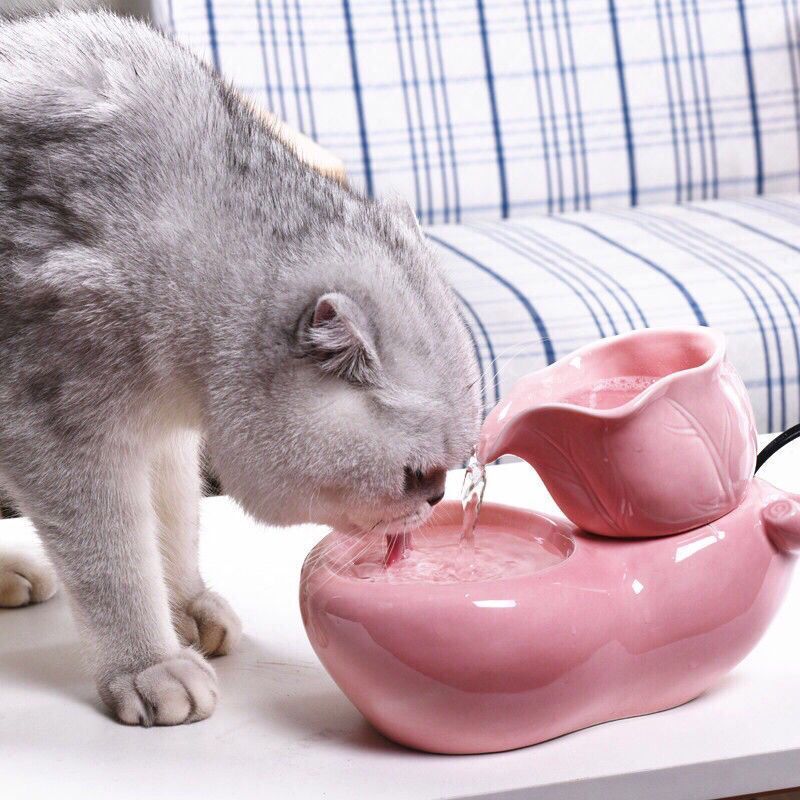 KFX-3611453 Automatic Ceramic Cat Water Dispenser with APP Support and Detachable Design