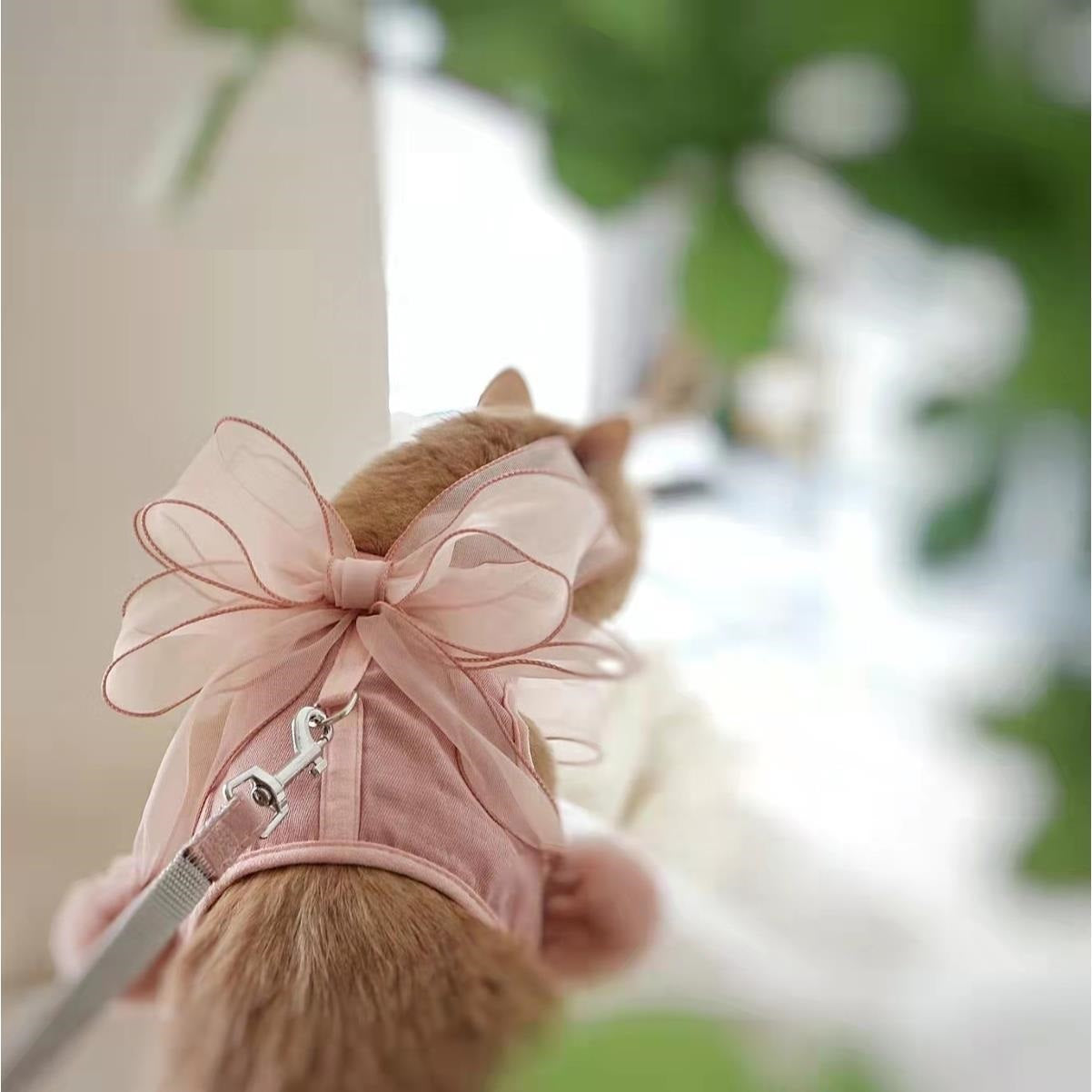 KFX-3615805 Universal Pet Traction Harness with Bow for Cats and Small Dogs - Size S, M, L Options Available