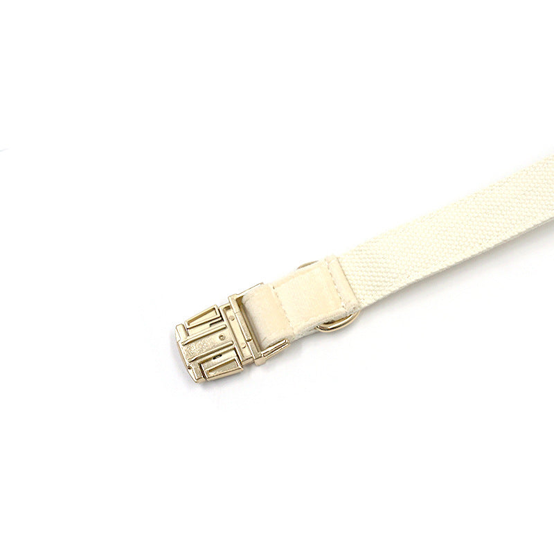 KFX-3617085 Cream Velvet Dog Collar with Gold Buckle and Bow Tie, Multiple Sizes Available