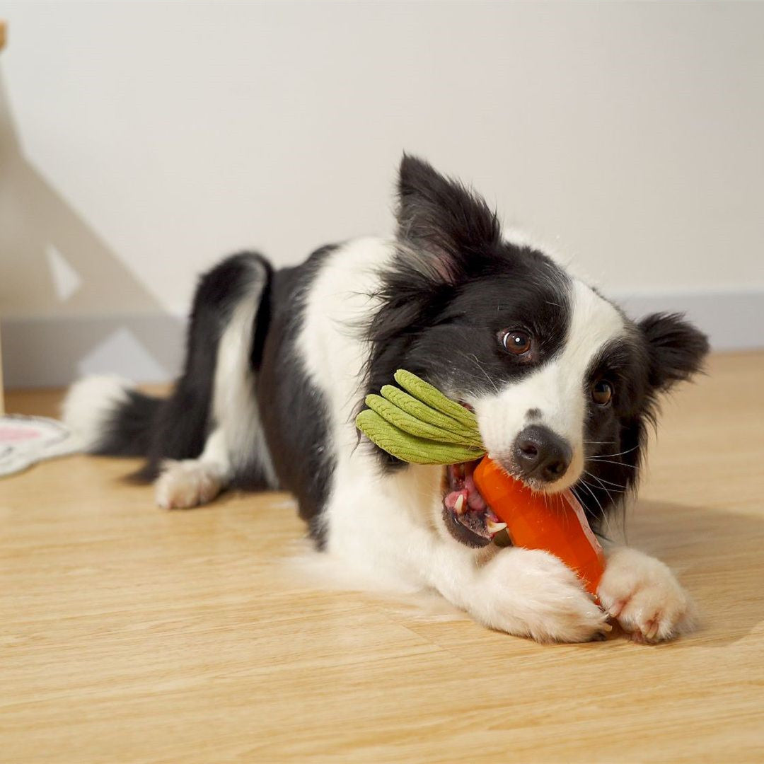 KFX-3621821 Durable Rubber Carrot Toy for Small and Medium Puppies with Sound Feature