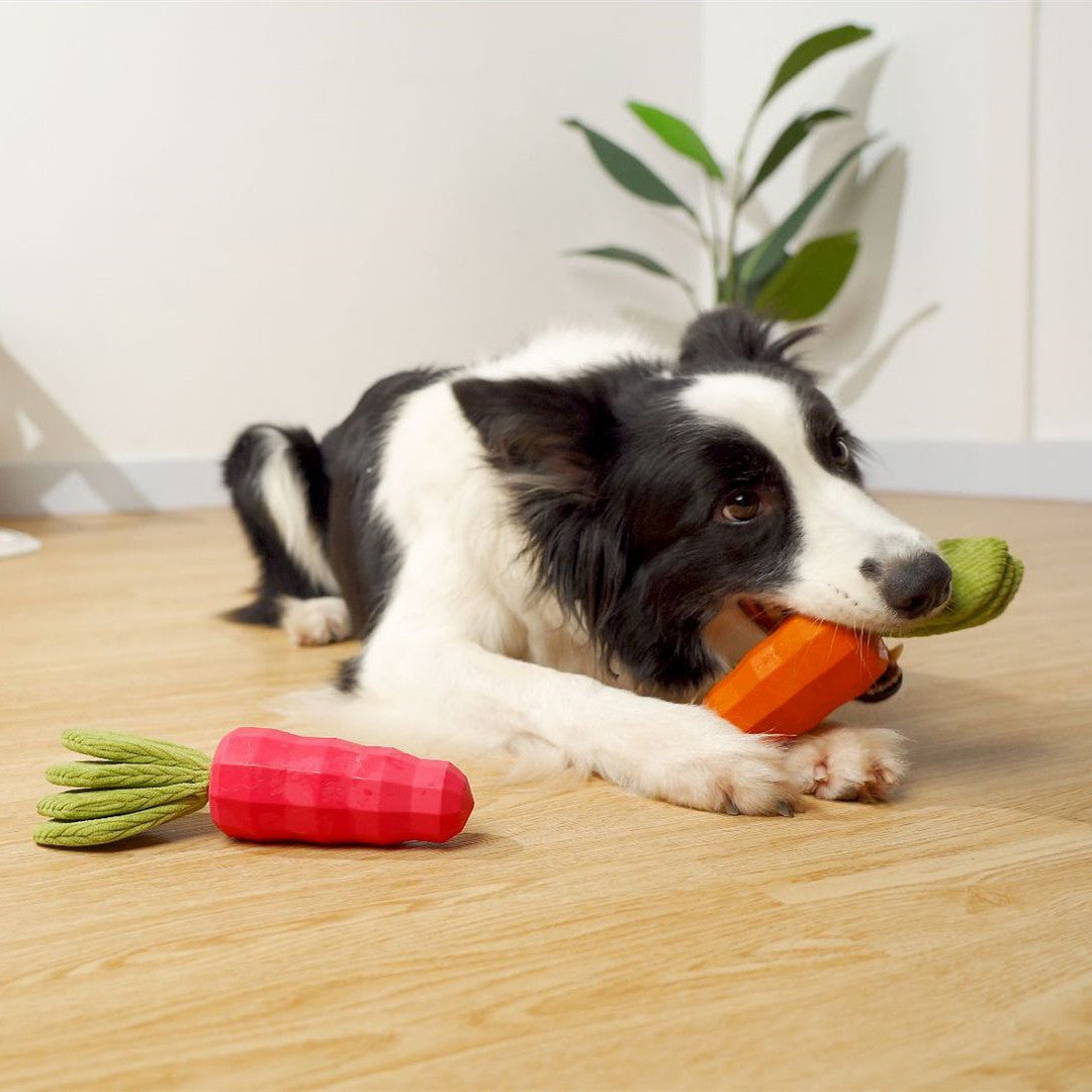 KFX-3621821 Durable Rubber Carrot Toy for Small and Medium Puppies with Sound Feature