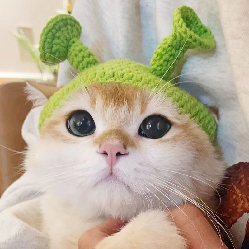 KFX-3631549 Handmade Green Knitted Cat and Dog Hat - Stylish Pet Headgear for All Seasons