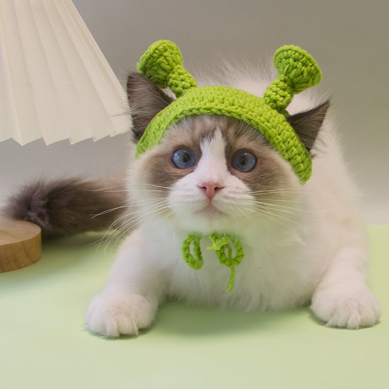 KFX-3631549 Handmade Green Knitted Cat and Dog Hat - Stylish Pet Headgear for All Seasons