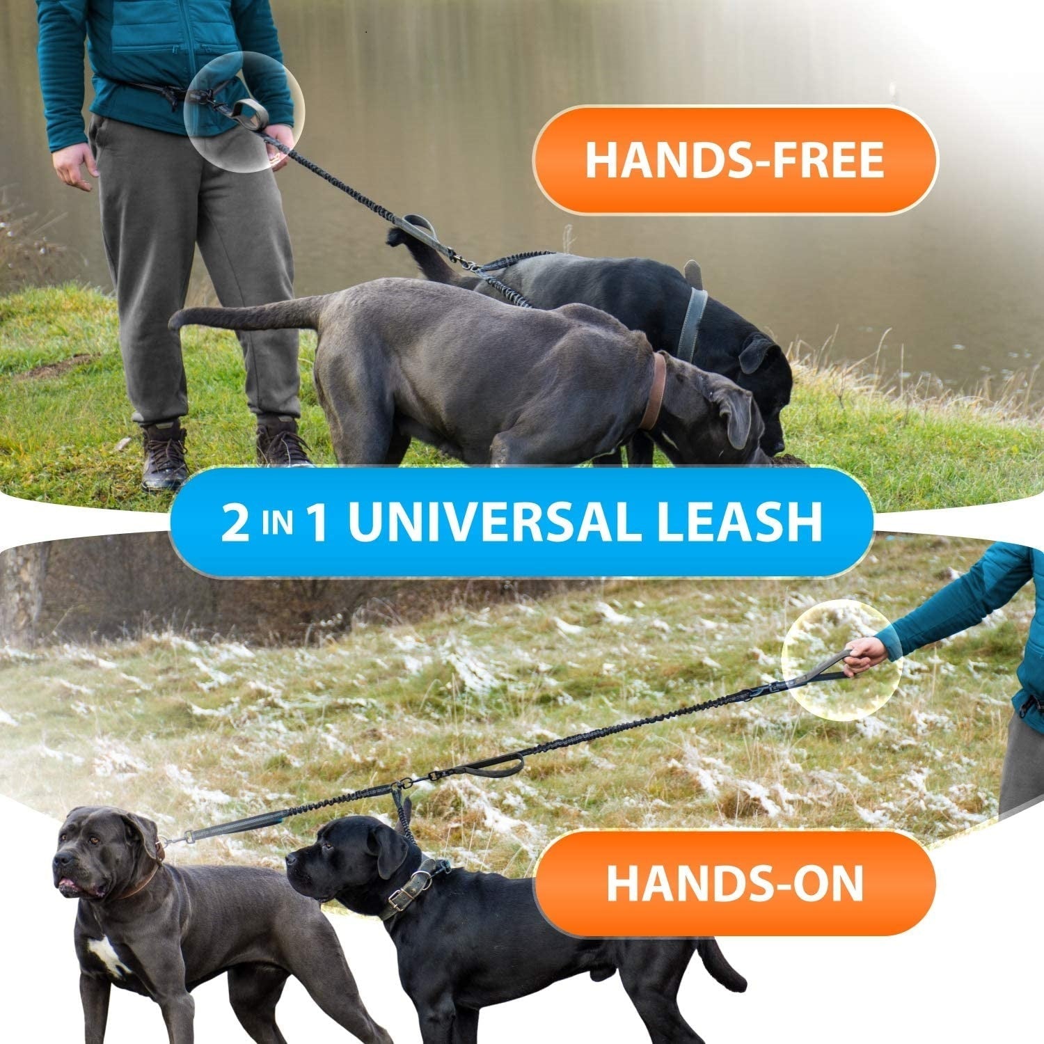 KFX-3636285 Durable Nylon Pet Running Leash with Hand Holding Rope - Multiple Color Options