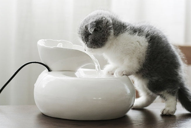 KFX-3638333 Ceramic Automatic Cat Water Dispenser with Filtration System - White and Pink