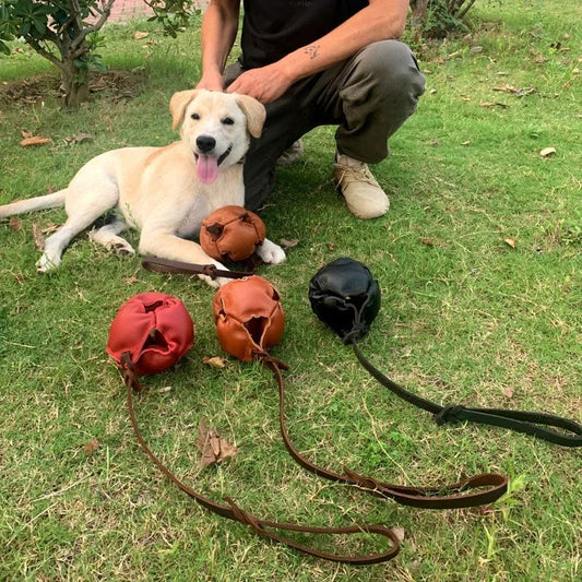 KFX-3640893 Leather Dog Training Bite Ball Toy with Handle for Tug and Fetch Play