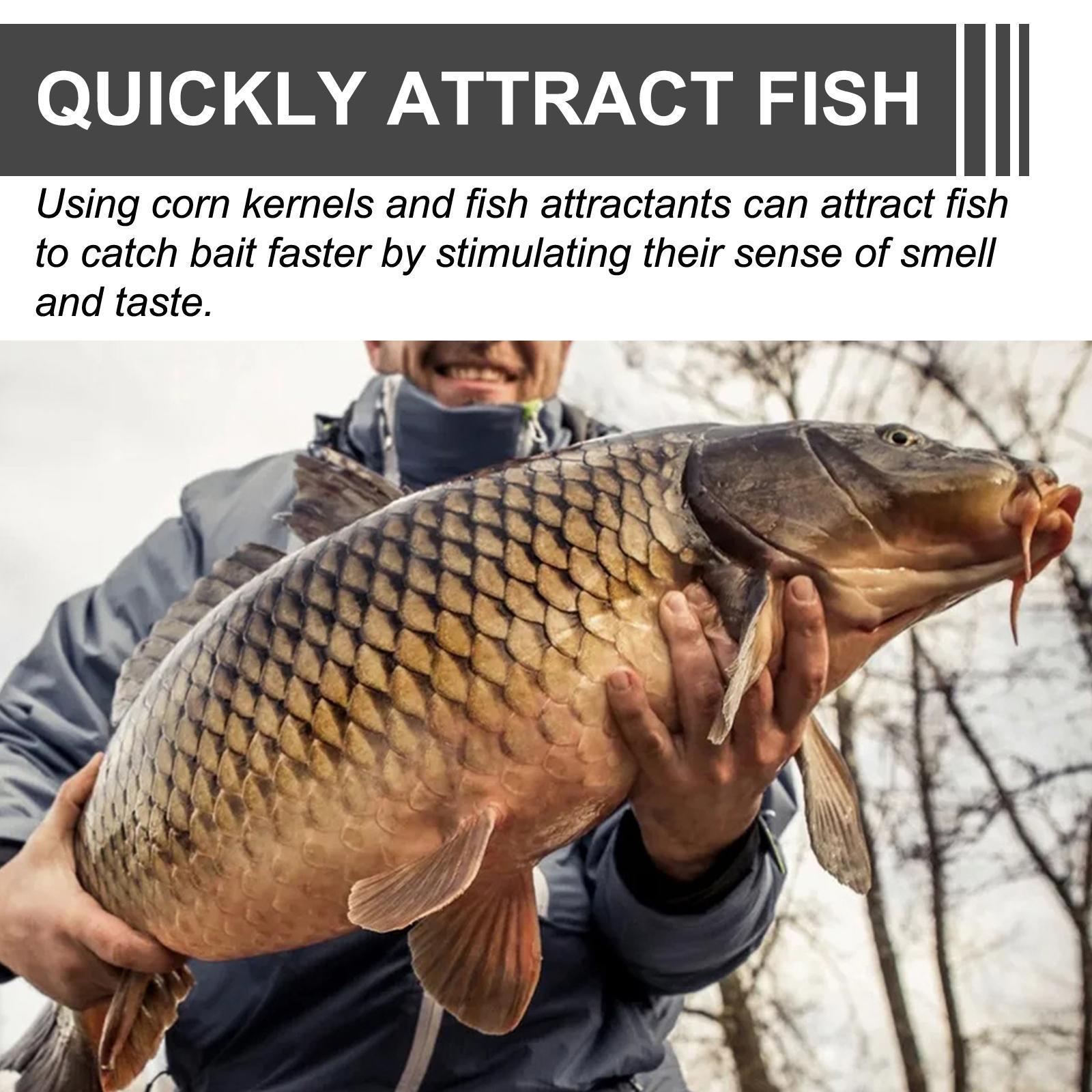 KFX-3641533 Portable Corn Fish Bait for Reservoir Fishing