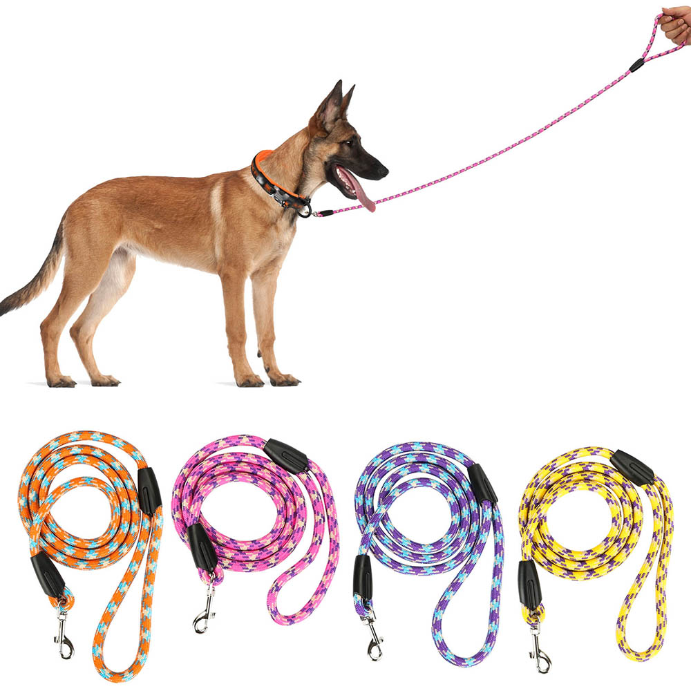 KFX-3647805 Universal Nylon Leash for Small and Medium Dogs and Cats - Available in Multiple Colors
