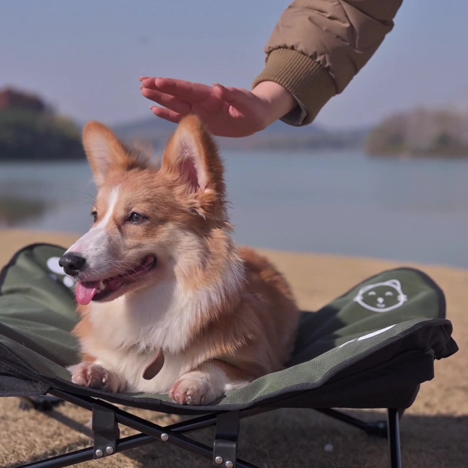 KFX-3652413 Detachable Outdoor Folding Pet Bed with Waterproof Oxford Cloth and Aluminum Alloy Frame