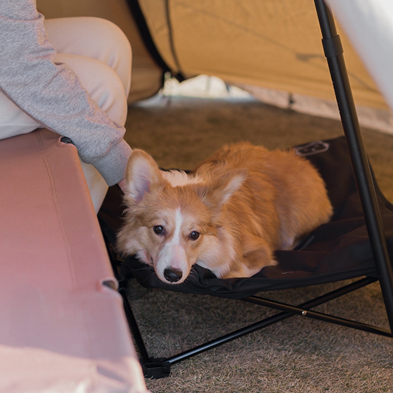 KFX-3652413 Detachable Outdoor Folding Pet Bed with Waterproof Oxford Cloth and Aluminum Alloy Frame