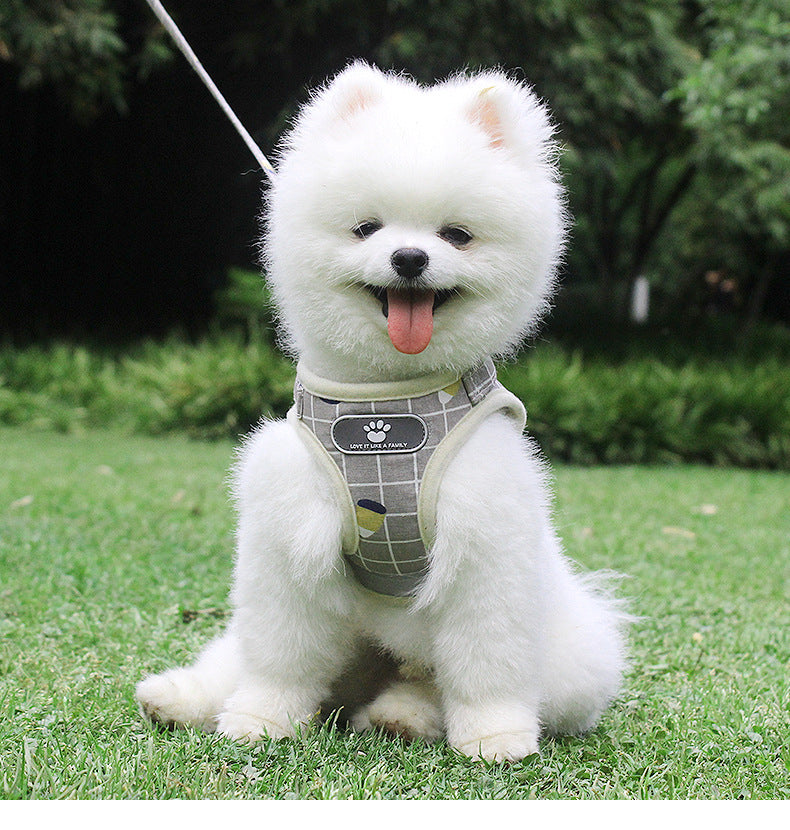 KFX-3653053 Reflective Breathable Mesh Harness and Leash for Small to Medium Pets
