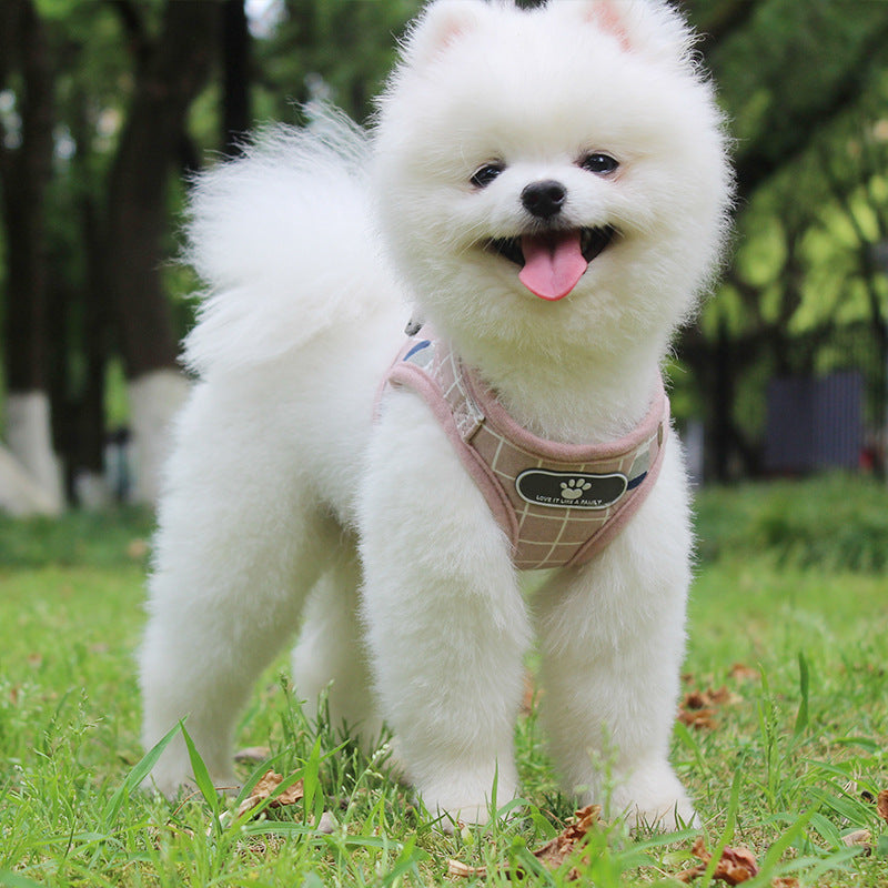 KFX-3653053 Reflective Breathable Mesh Harness and Leash for Small to Medium Pets