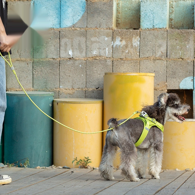 KFX-3655229 Colorful Adjustable Nylon Pet Leash with Zinc Alloy Hooks and Plastic Buckle