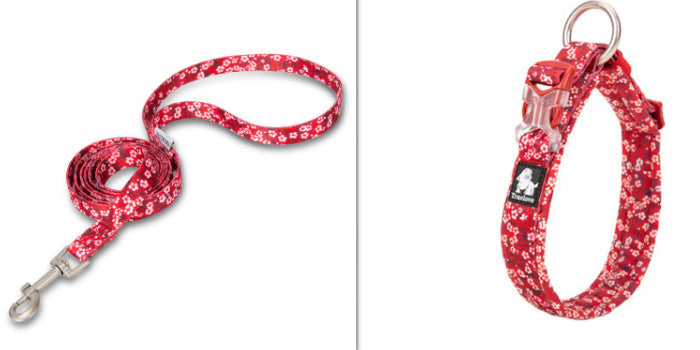 KFX-3655741 Leakproof Dog Collar in Broken Flower Patterns - Sizes 2XS to 3XL