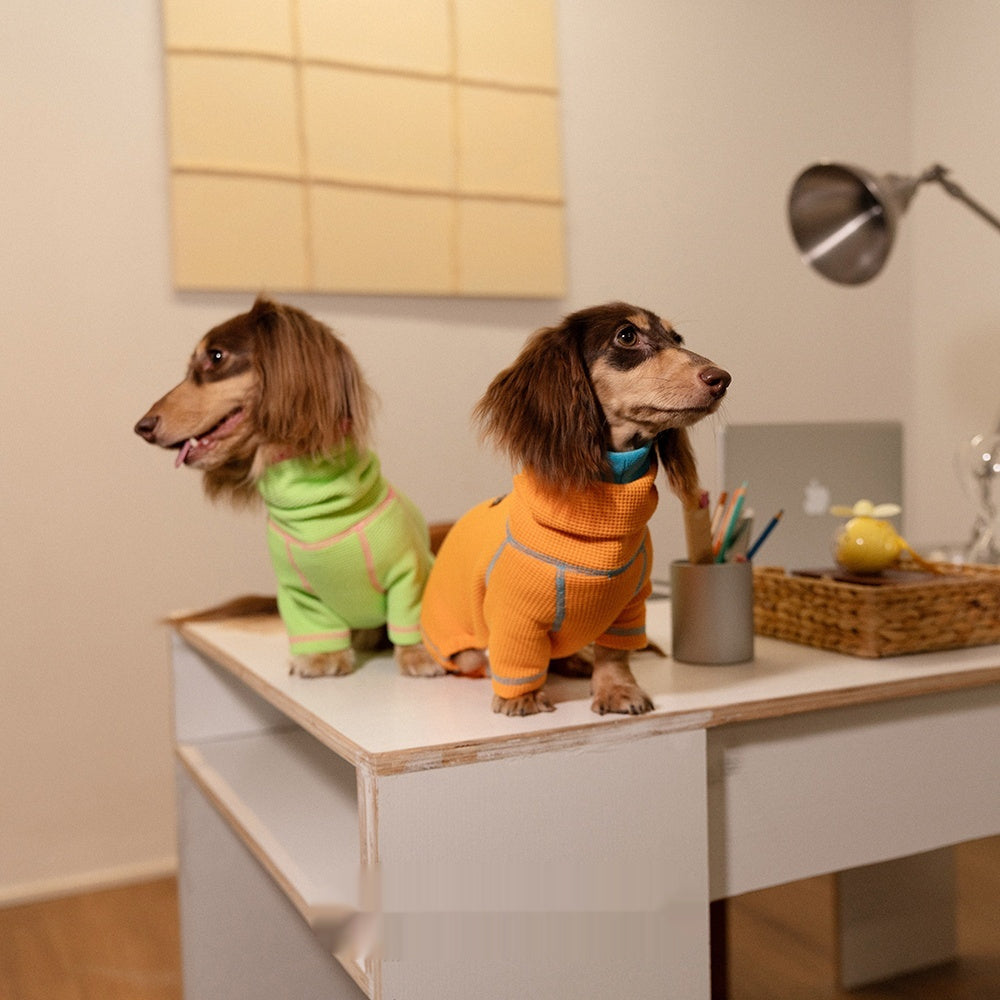 KFX-3658301 Cozy Waffle Pullover for Dachshunds - Four-Legged Pet Clothing for All Seasons