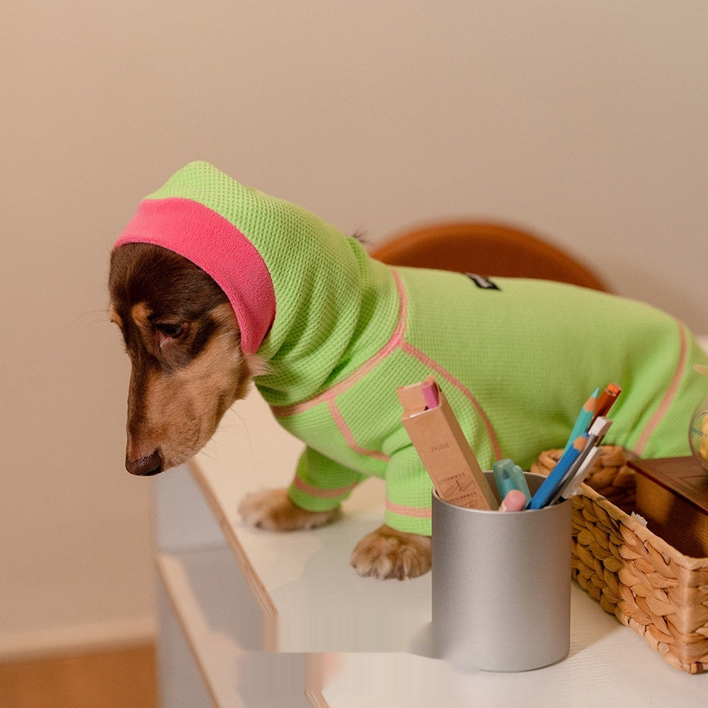 KFX-3658301 Cozy Waffle Pullover for Dachshunds - Four-Legged Pet Clothing for All Seasons