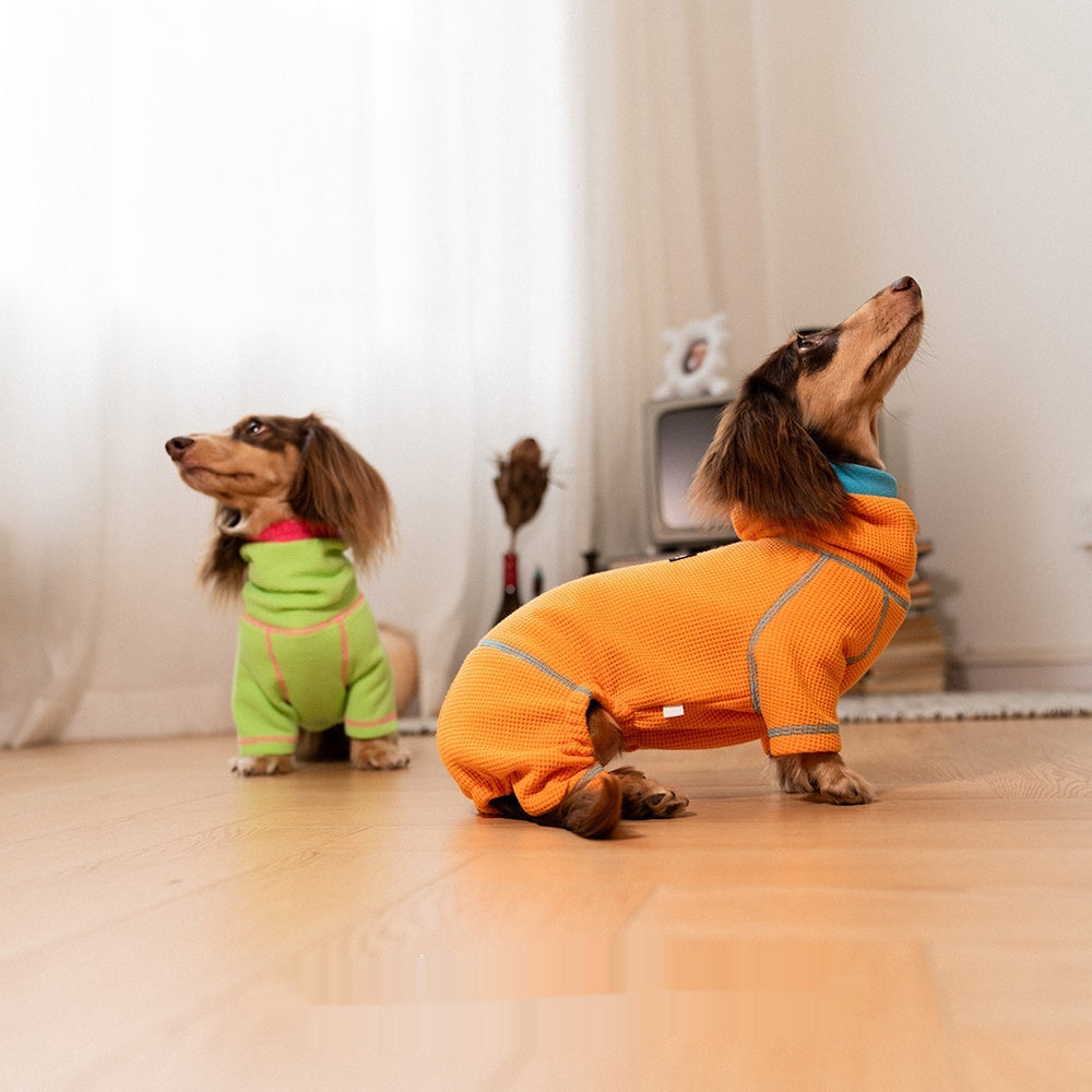 KFX-3658301 Cozy Waffle Pullover for Dachshunds - Four-Legged Pet Clothing for All Seasons