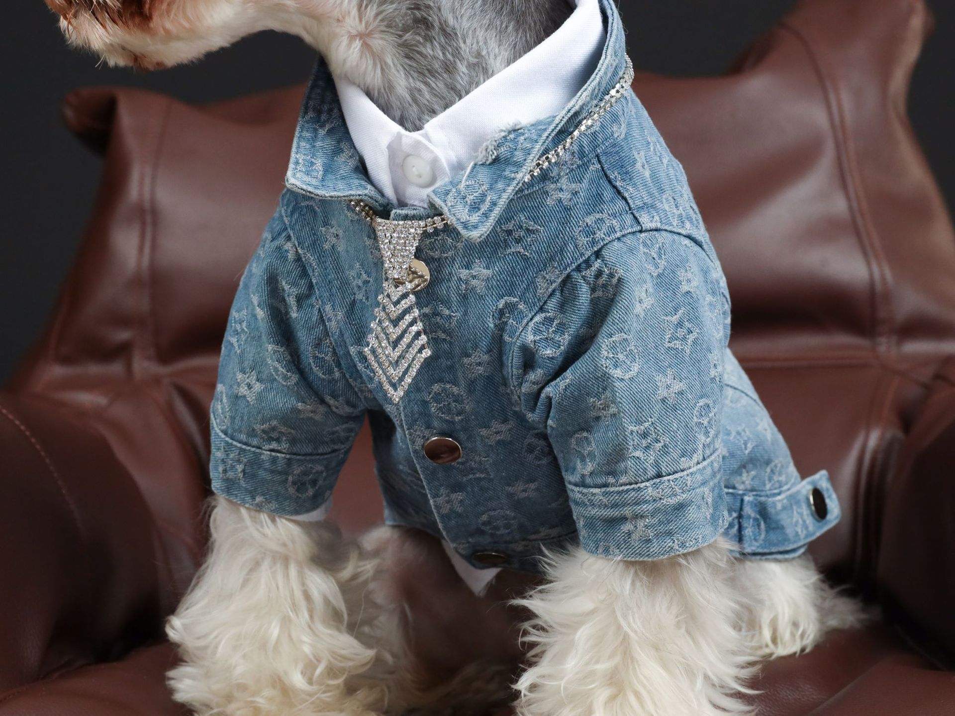 KFX-3661885 Casual Blue Denim Dog Shirt - Cotton Spring/Summer Apparel