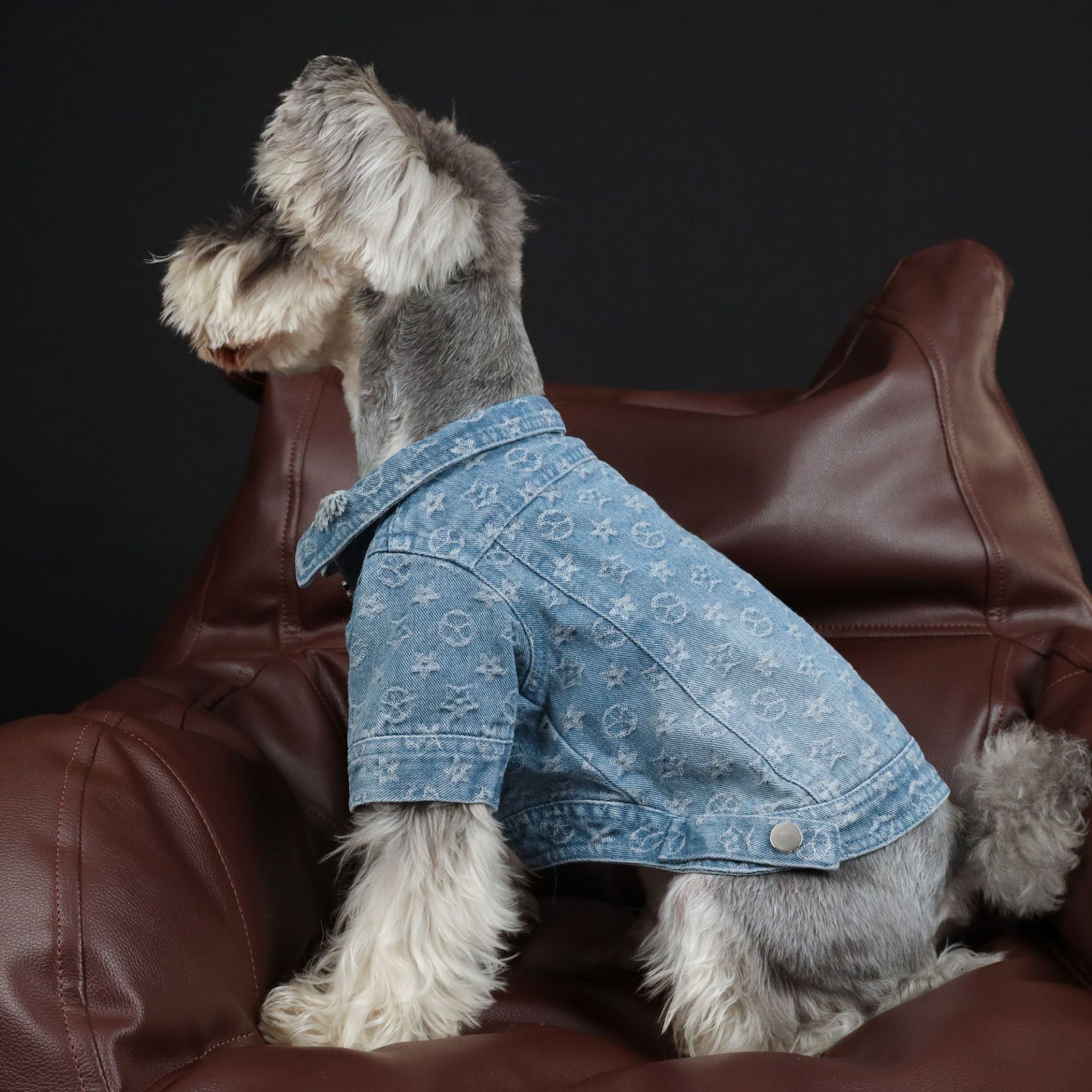 KFX-3661885 Casual Blue Denim Dog Shirt - Cotton Spring/Summer Apparel