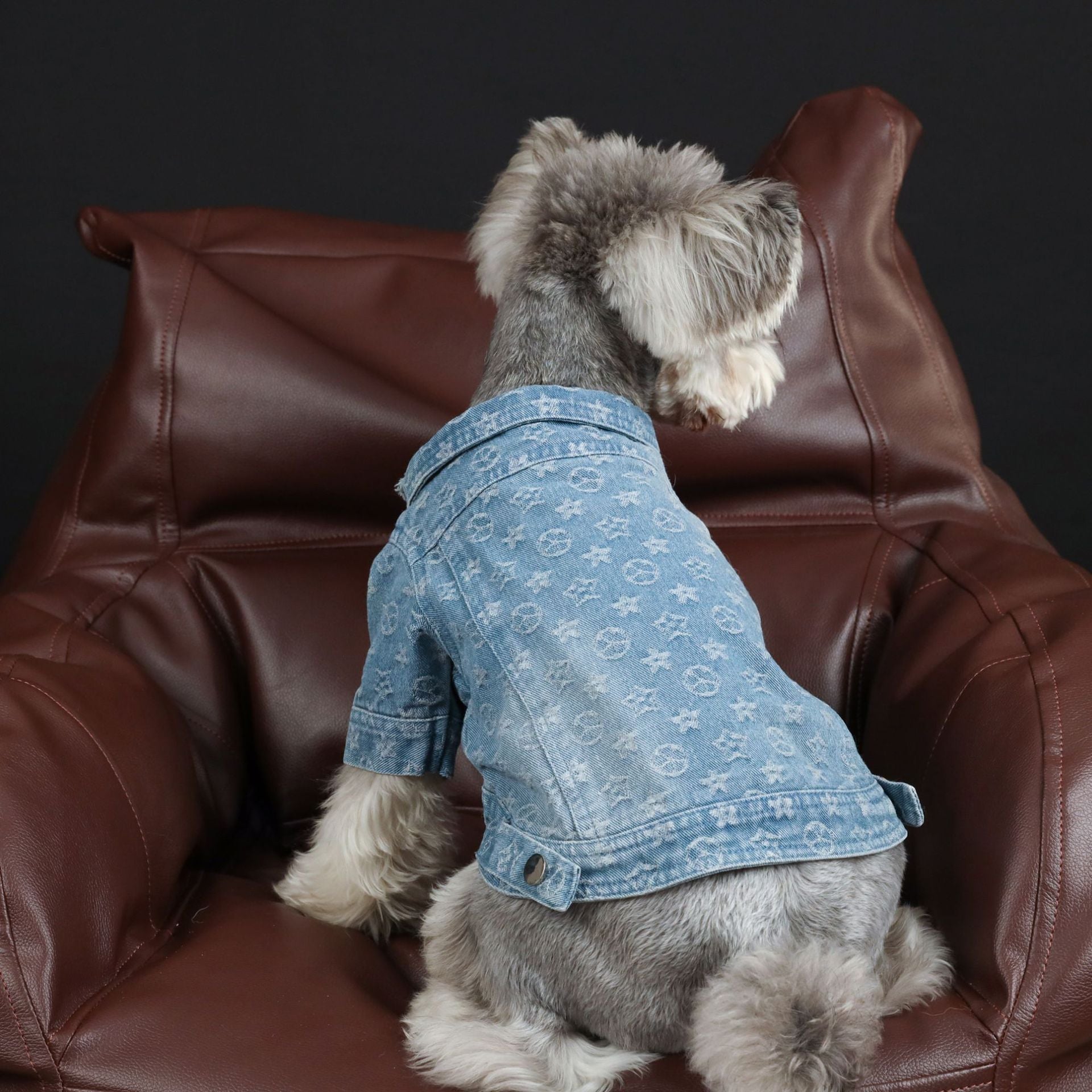 KFX-3661885 Casual Blue Denim Dog Shirt - Cotton Spring/Summer Apparel
