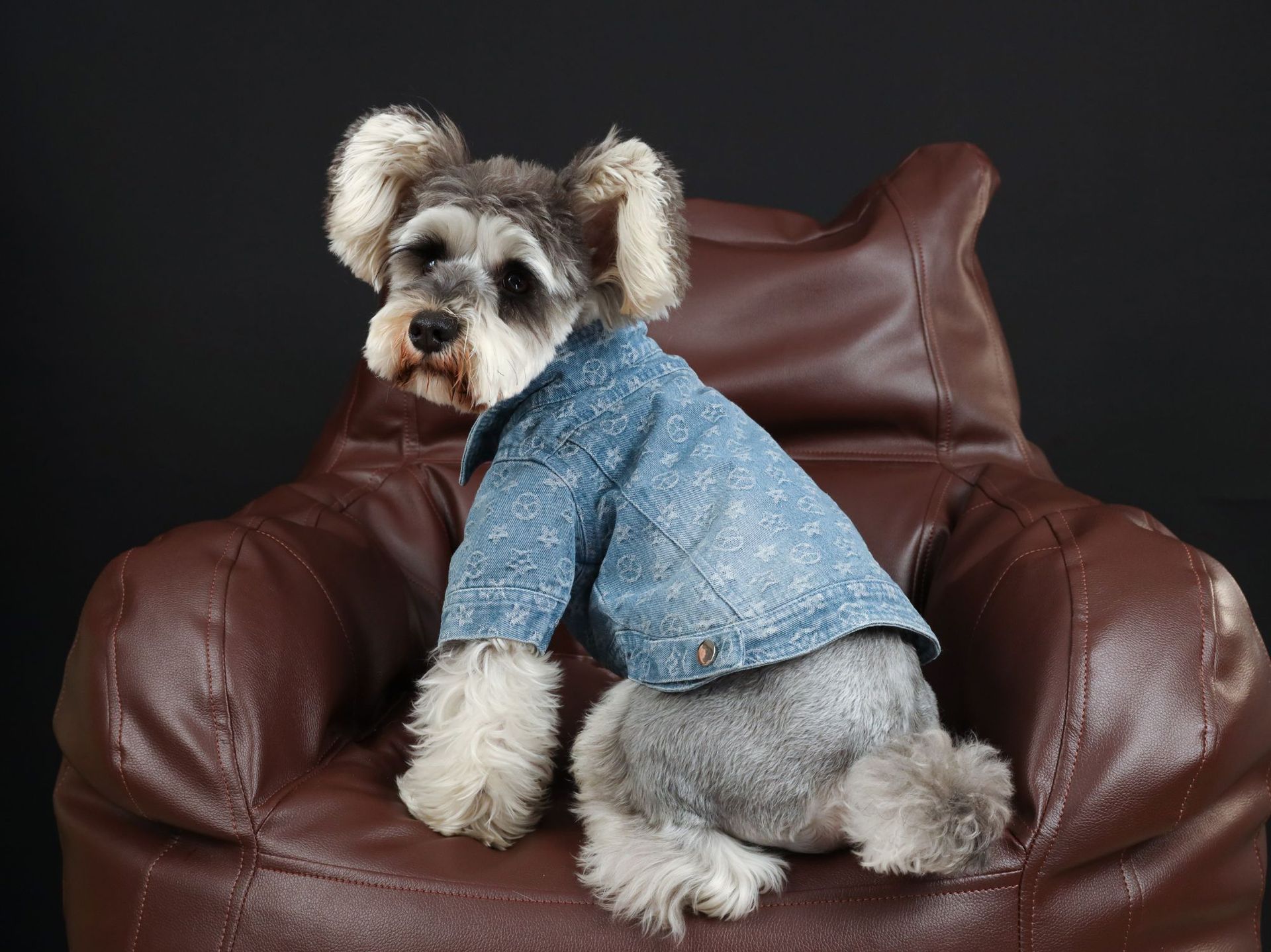 KFX-3661885 Casual Blue Denim Dog Shirt - Cotton Spring/Summer Apparel
