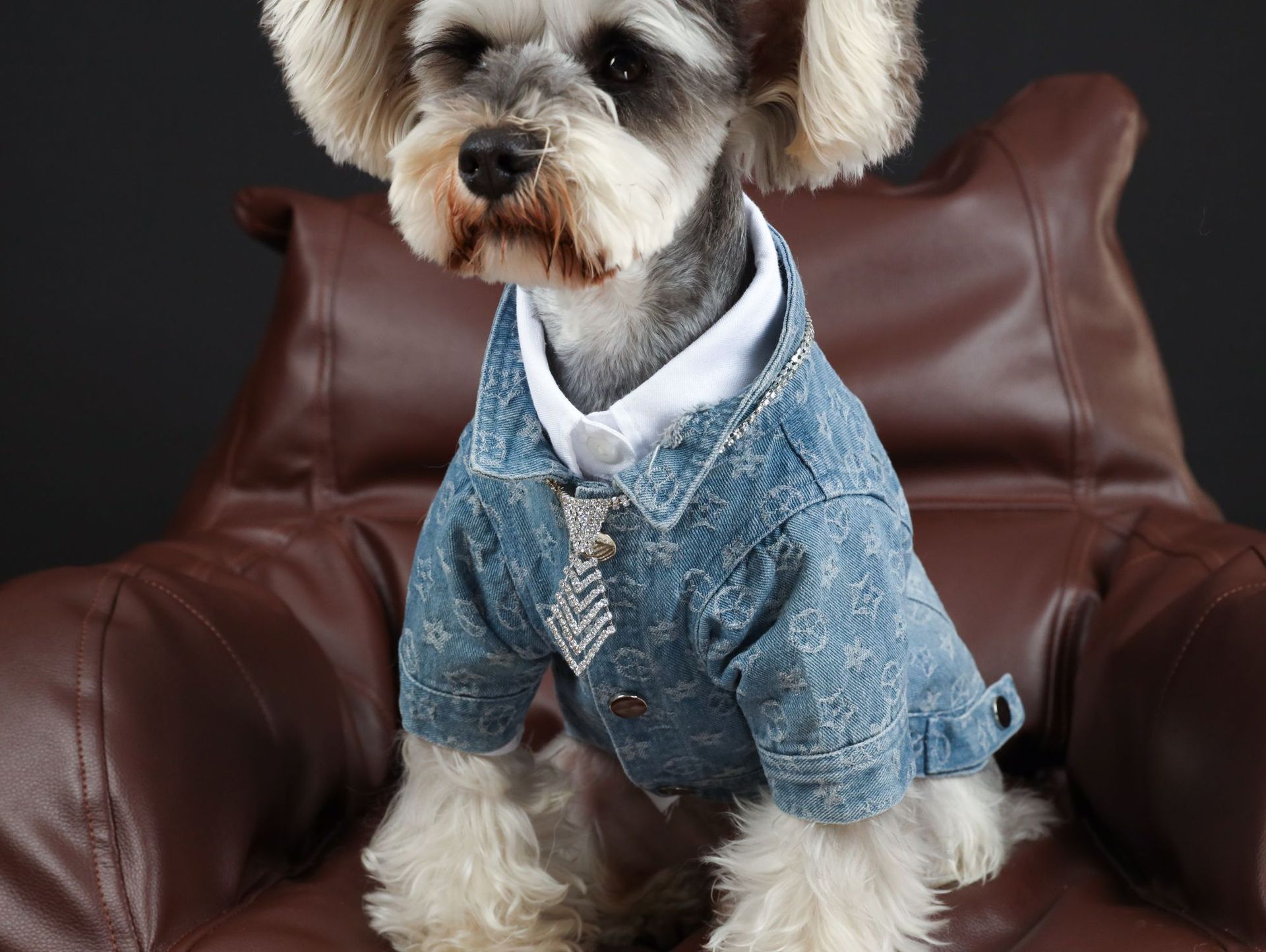 KFX-3661885 Casual Blue Denim Dog Shirt - Cotton Spring/Summer Apparel