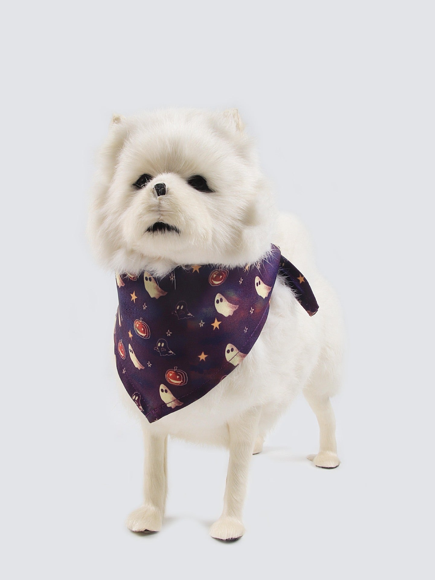 KFX-3664061 Fleece-Lined Pet Clothing for Autumn and Winter - Available in Multiple Sizes